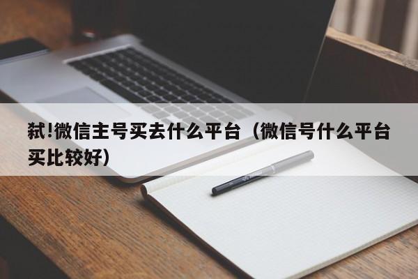 弑!微信主号买去什么平台（微信号什么平台买比较好）